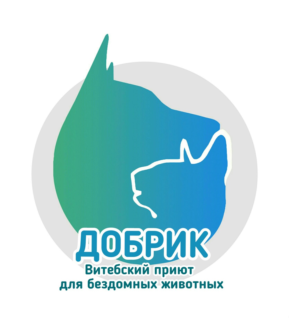 Благотворительная акция по оказанию помощи Витебскому приюту для бездомных животных «Добрик»