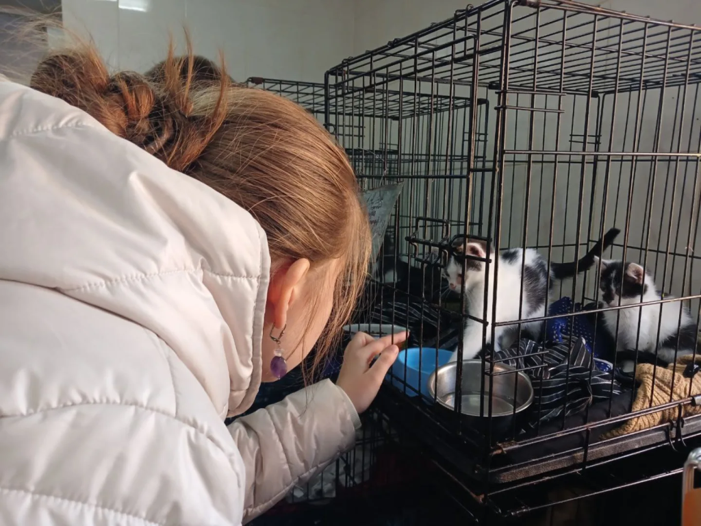 lyceum.vsu_1761216899133.jpg lyceum.vsu_1761216899133.jpg